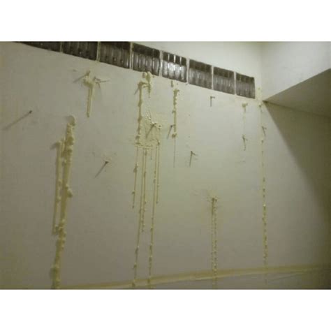 cleaning mud Singapore|mould remediation singapore.